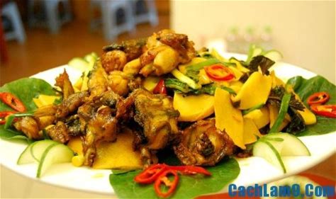 (CA 2) ẾCH XÀO MĂNG